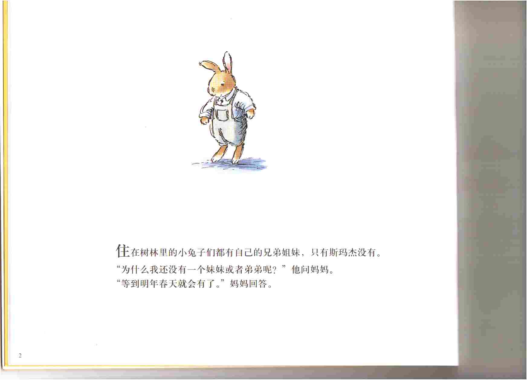 春天的兔子 (04),绘本,绘本故事,绘本阅读,故事书,童书,图画书,课外阅读